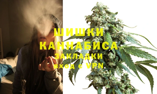 твердый Белокуриха
