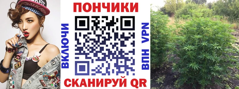 Купить где Очёр Бошки марихуана семена